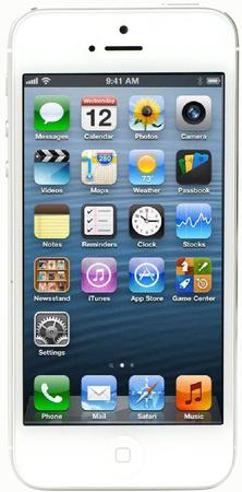 Смартфон Apple iPhone 5 64Gb White & Silver - Донской
